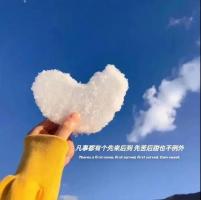 美女被鸡鸡操2022年初级、中级、高级导游以及领队的要求条件